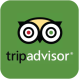 TripAdvisor green logo